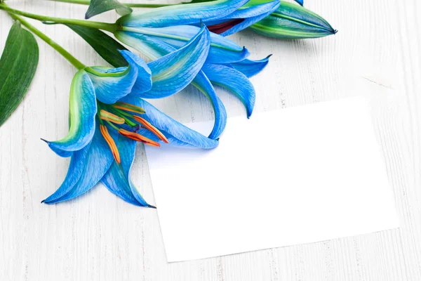 Blue  lilies on the white table with sheet of paper — Stock Photo, Image