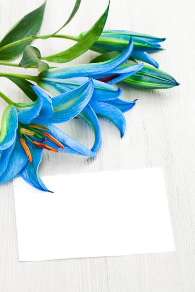 Blue  lilies on the white table with sheet of paper — Stock Photo, Image