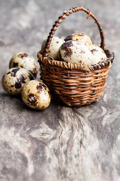 Jaja przepiórcze w kosz Wiklinowy mały — Zdjęcie stockowe