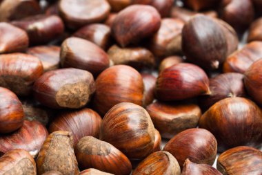 Ham tatlı kestaneler. Hazır yemek pişirmek için.  