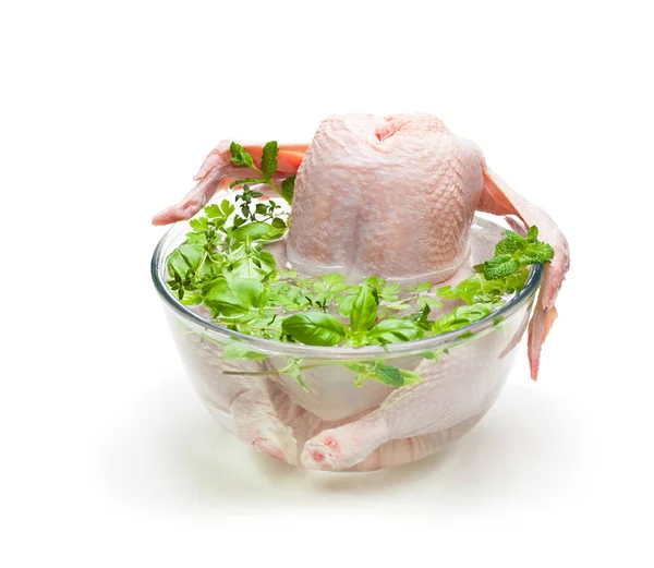 Raw  chicken in the water with herbs isolated on white backgroun — Stock Photo, Image