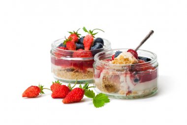 Mini vahşi orman meyveleri cheesecake bir cam tencere üzerinde izole