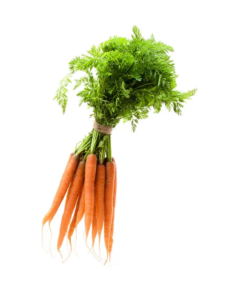 Куча новой моркови, изолированной на белом — стоковое фото