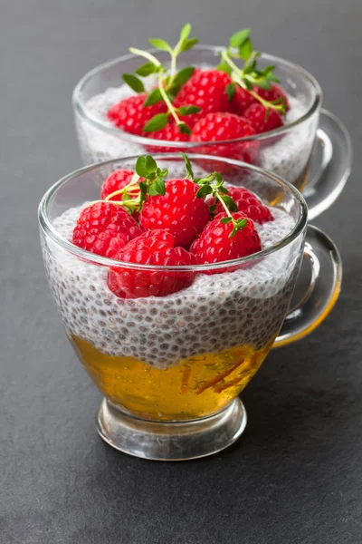 Pudim de semente de chia com marmelada de laranja e framboesas frescas o — Fotografia de Stock