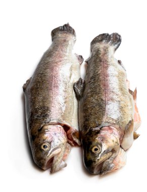 Taze çiğ gökkuşağı alabalıkları beyazda izole edilmiş.  