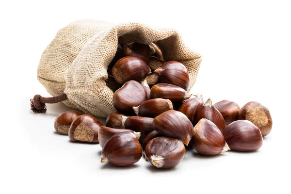 Fresh chestnut scattered of the burlap bag isolated on white — Stock Photo, Image