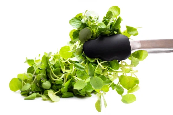 Pinças com folhas de salada de agrião isoladas em branco — Fotografia de Stock