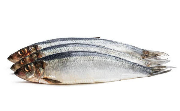 Sada Čerstvých Celých Sleďových Ryb Izolovaných Bílém — Stock fotografie