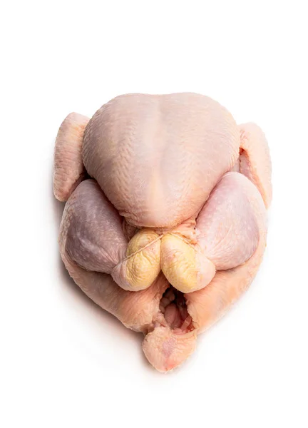 Surowy Kurczak Izolowany Białym Tle — Zdjęcie stockowe