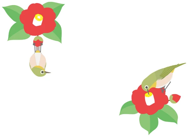 Japanska vita ögat och Camellia blomma — Stock vektor