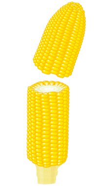 Mısır gıda tahıl tesisleri