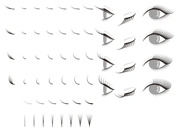 Kirpik uzatma. yanlış eyelashes.