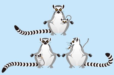 Halka Lemur hayvanını takip etti.
