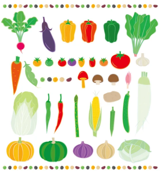 Томаты из овощных продуктов — стоковый вектор