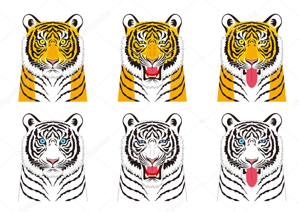 Tiger. Facial expressions.angerAnimal.