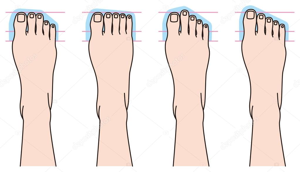 Foot shape. finger. type.
