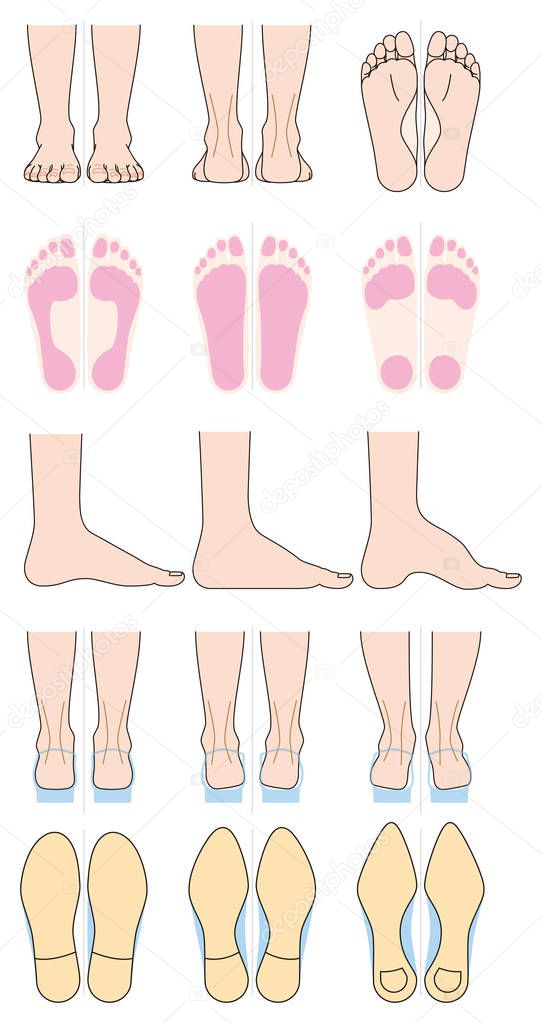 Shape of the foot and shoes