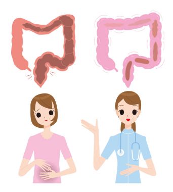 Constipation internal organs female clipart