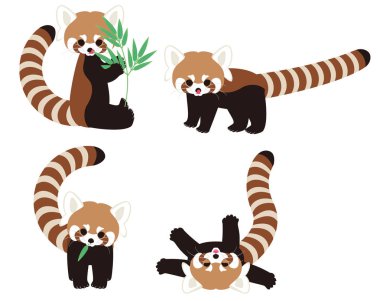 Red Panda karakter hayvan