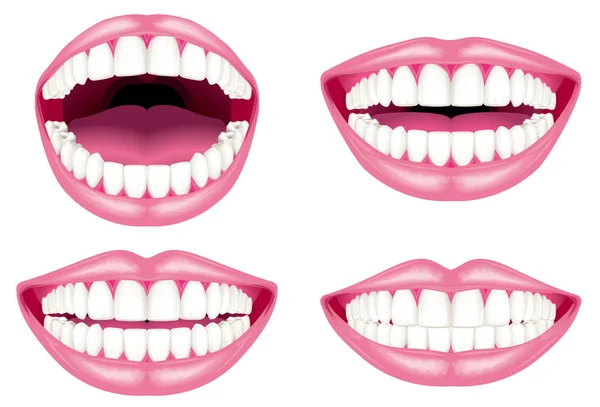 Fehér fogak és az ajkak — Stock Vector
