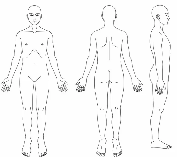 Desenho do corpo humano Front Back Side —  Vetores de Stock