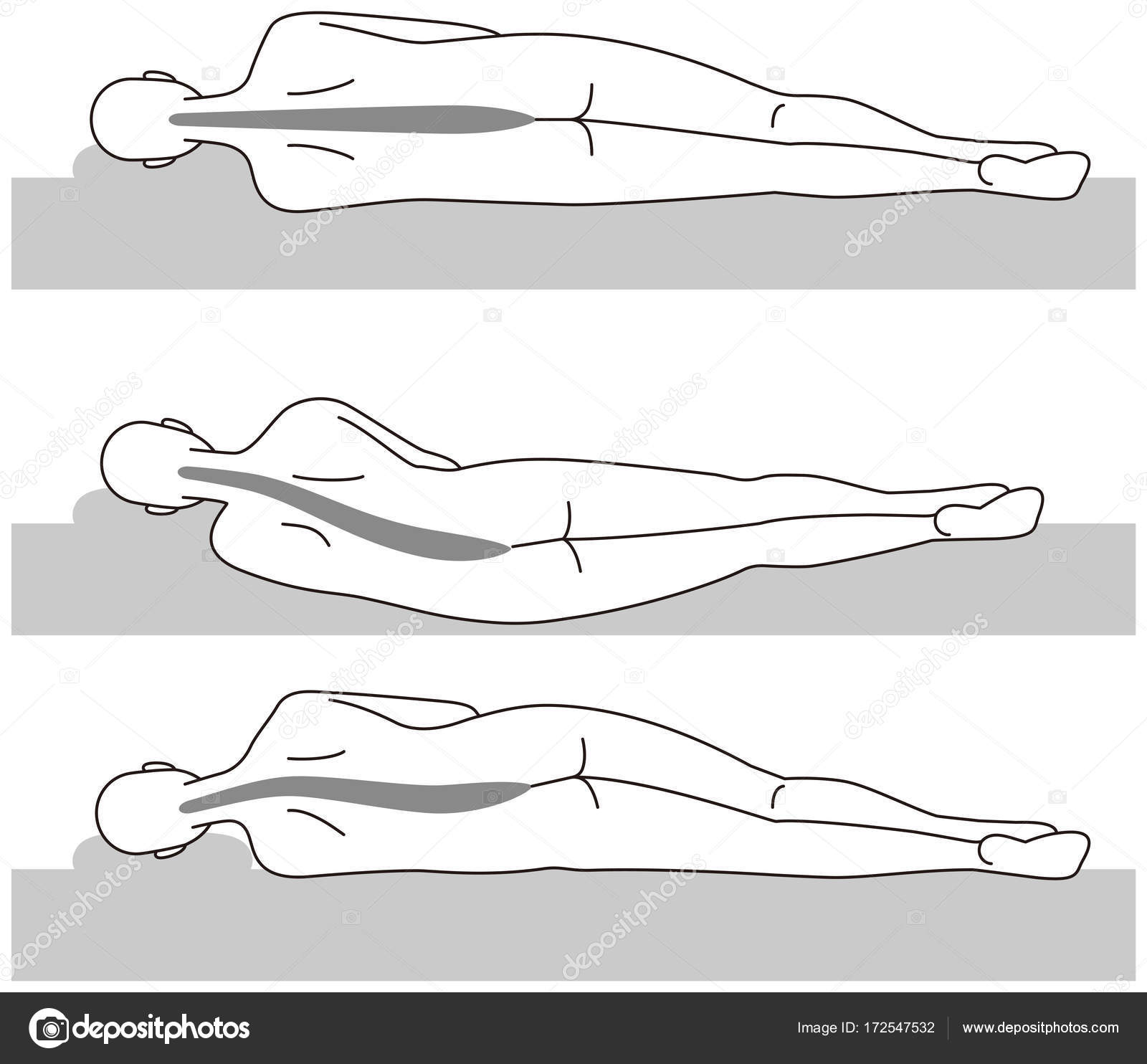 Hard bed, soft bed and body Stock Vector Image by ©alphabetMN 172547532