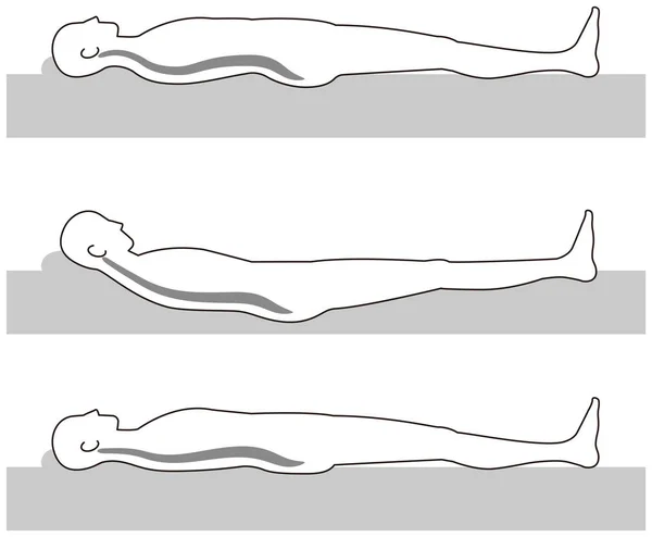 硬床, 软床和身体 — 图库矢量图片