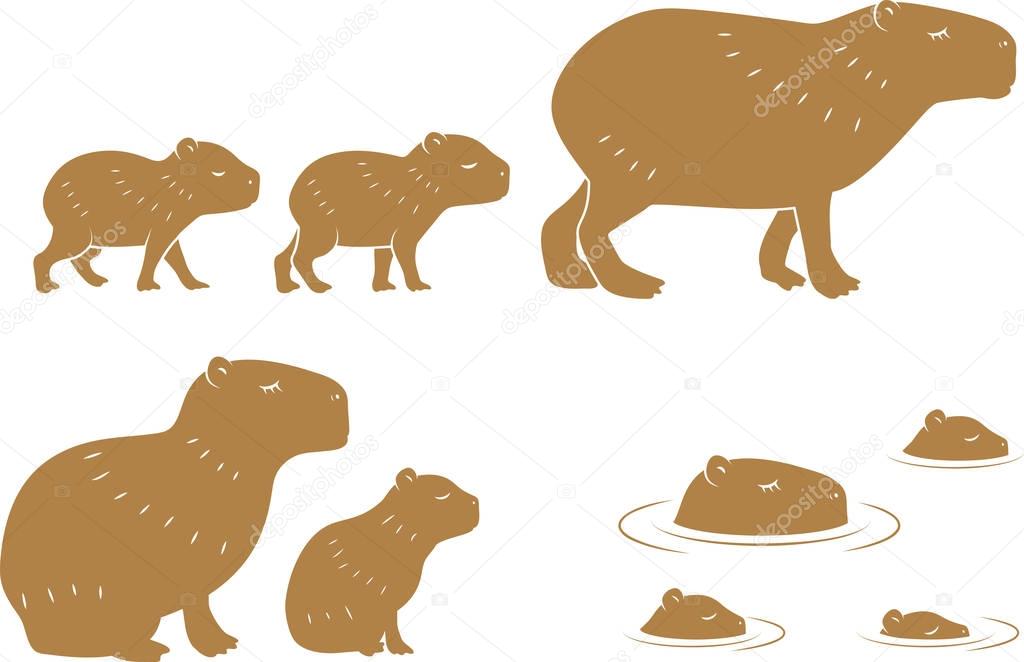 Capybara family Animal Wildlife