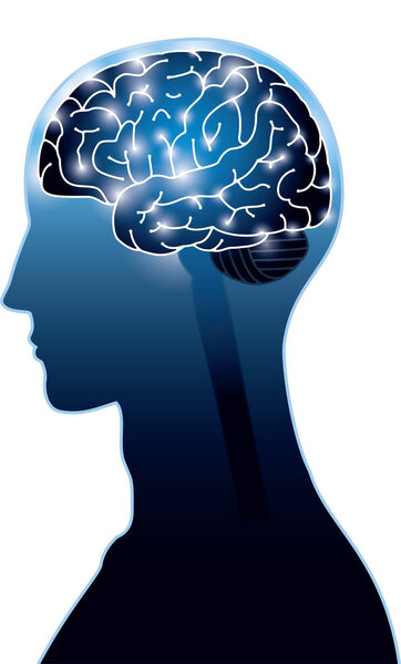 Image of brain electrical signal