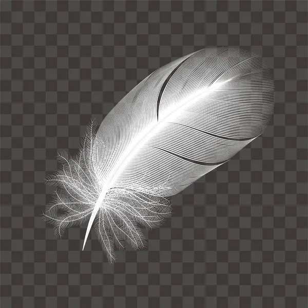 Beyaz kuş tüyleri illüstrasyon