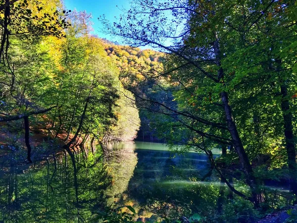 Bolu, Yedigoller, Turkey