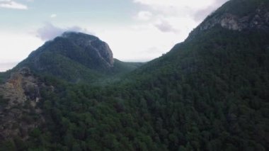 Forrest Kapalı Dağ