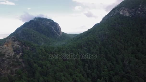 Forrest Covered Mountain — Stock Video