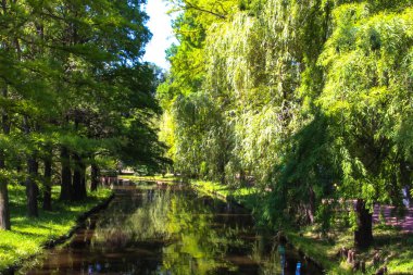 Willow ve river Park 