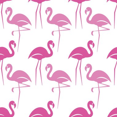 Flamingolar beyaz bir arka plan üzerinde