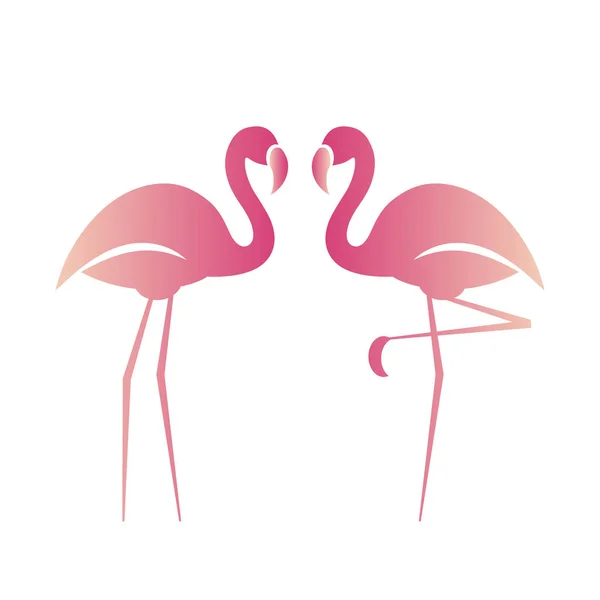 İki pembe flamingo. — Stok Vektör