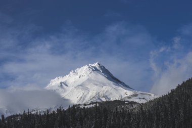 Yalnız - güçlü duran Mt. Hood