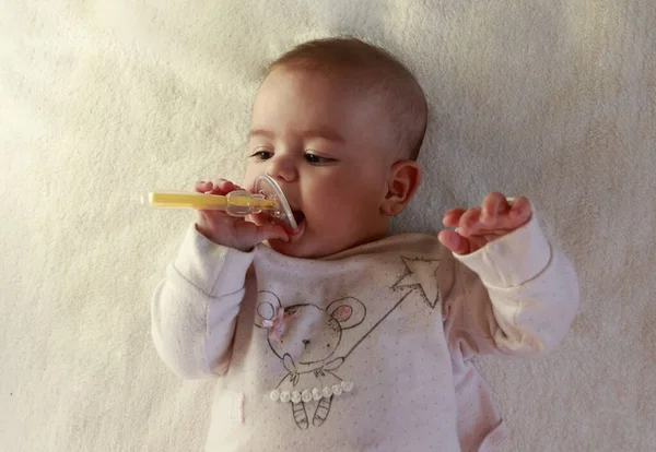 Linda Piel Blanca Pequeña Con Cabello Castaño Cinco Meses Bebé Fotos de stock