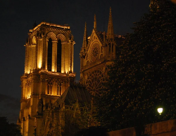 Katedralen Notre Dame Katedralen Natten Paris Frankrike — Stockfoto