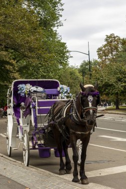 At ve At Arabası Sabit Duruyor