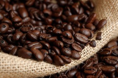 Arabica kahve çekirdekleri