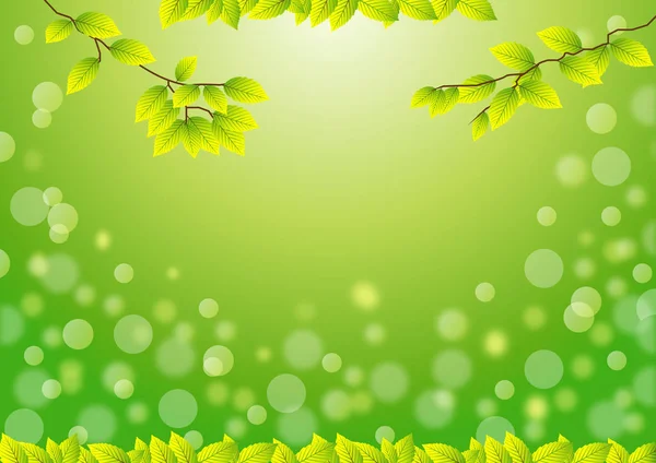 Hojas verdes fondo — Vector de stock