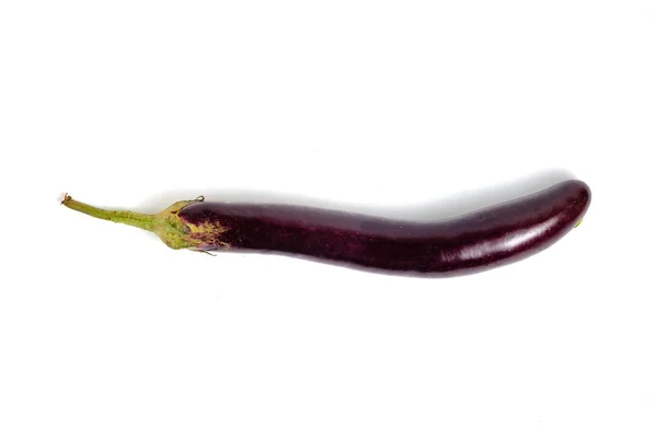 Eggplant Brinjal Plant Species Nightshade Family — ストック写真