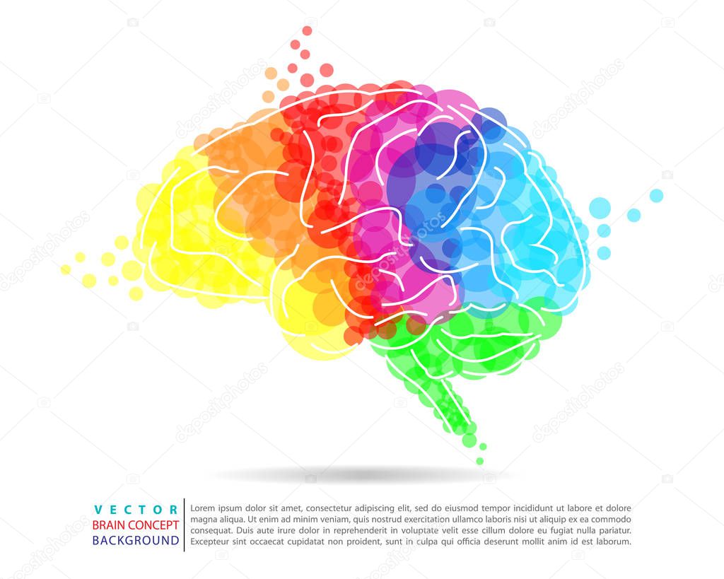 Colorful brain image concept in vector illustration