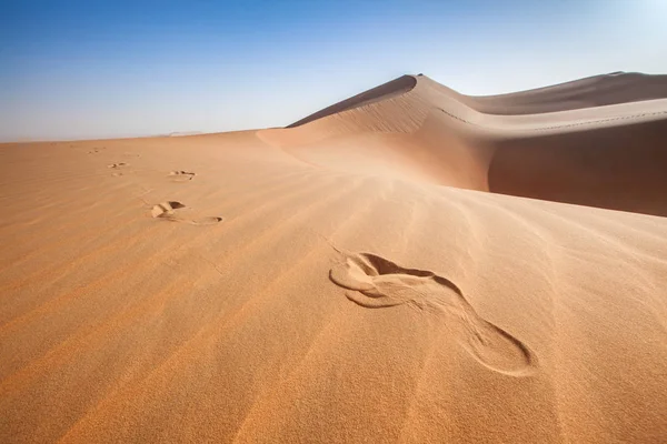 Паттерны и дюны Пустого квартала - Пустыня — стоковое фото