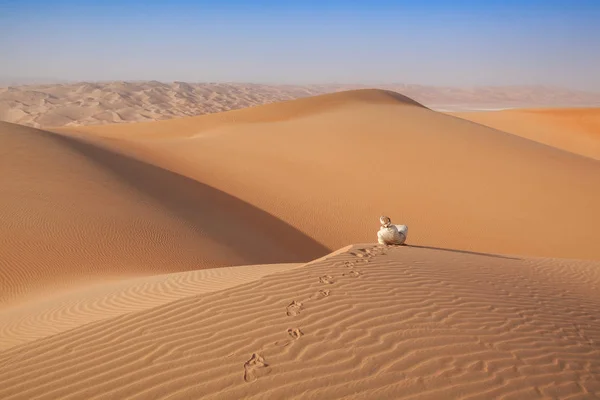 Arabo uomo in abito tradizionale locale seduto su una duna nel deserto di Liwa — Foto Stock