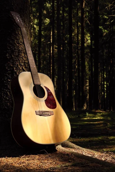 Guitarra en bosque —  Fotos de Stock