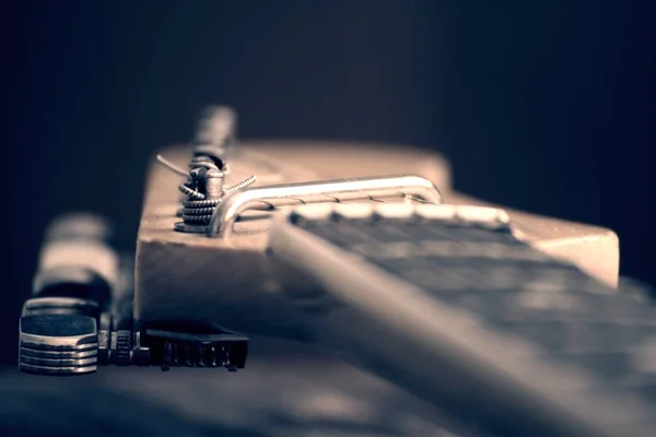 Styl 전자 기타 — 스톡 사진