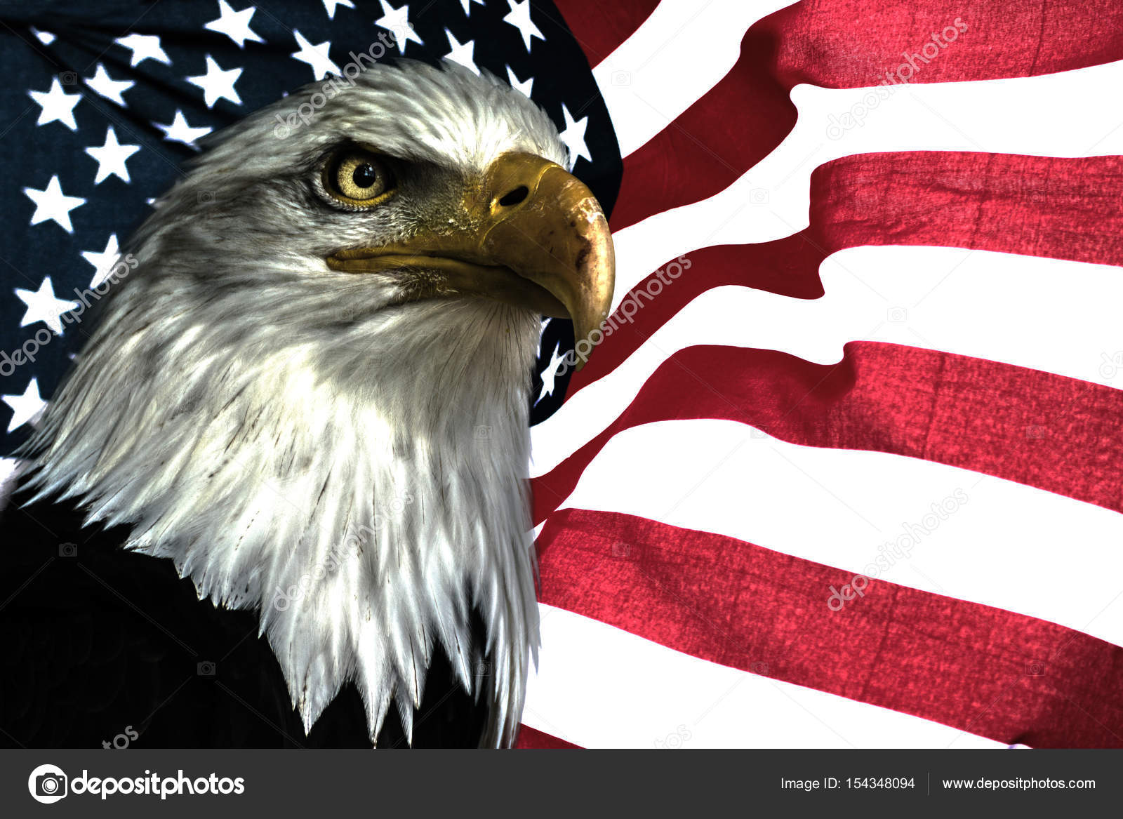 フラグとアメリカン イーグル ストック写真 C Denisapro フラグとアメリカン イーグル ストック写真 C Denisapro