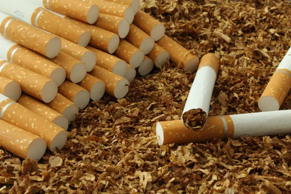 Cigaretta és dohánytermékek — Stock Fotó